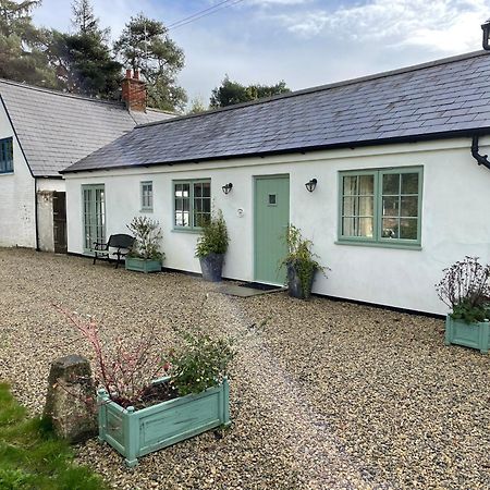 Cottages At Woodlands, Grooms Cottage Wareham Buitenkant foto